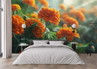 Sunlit marigolds with bright orange petals, 4K hyperrealistic photo Wall mural