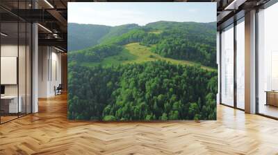 Aerial view of forest park in mountains, bathed in morning sunlight Wall mural