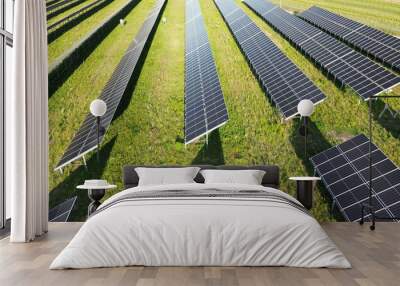 Expansive solar panels on farmland Wall mural