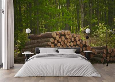 Forest pine and spruce trees. Log trunks pile, the logging timber wood industry. Wall mural