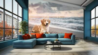 Golden Retriever Enjoying a Summer Adventure at the Baltic Beach. Golden retriever sitting on the sand beach of the Baltic Sea. Concept for the summer adventures of pure breed dog at the seaside Wall mural