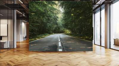 Landscape with empty asphalt road through woods in summer. Beautiful rural asphalt road scenery. Beautiful roadway. Trees with green foliage and sunny sky. Wall mural