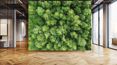 Top view of vibrant green woods and forest Wall mural