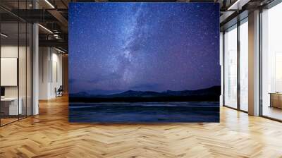 starry sky over a frozen winter lake. milky way. sikhote-alin biosphere reserve in the primorsky ter Wall mural