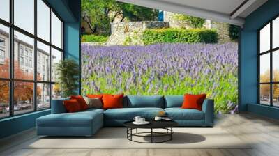 Provence, France Wall mural