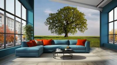 Beautiful tree in the middle of the field Wall mural