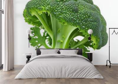 Fresh broccoli isolated on white background  in png format studio close up minimalist packshot mode. AI Generative image Wall mural