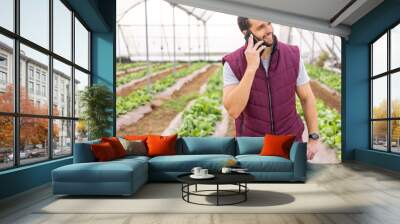 Phone call, farm and agriculture with a man at work in the greenhouse of organic agricultural farmland. Mobile, communication and sustainability with a male working alone in the farming industry Wall mural