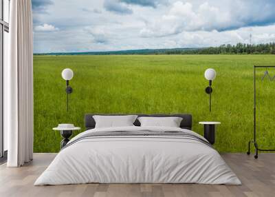 Aerial view of a field with green grass in Karelia Wall mural