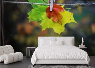 Autumn Leaves on a String - Transitioning Foliage Captured Up Close Wall mural