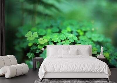 Background from plant clover four leaf. Irish traditional symbol. St.Patrick 's Day. Wall mural