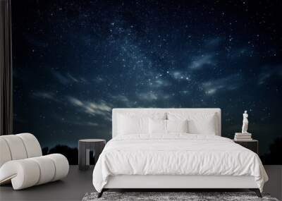 Blue dark night sky with many stars above field of trees. Wall mural