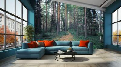 Bright spring greens at dawn in the forest. Nature comes to life in early spring. Wall mural