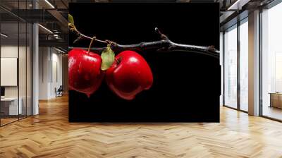 brunch with red apples isolated on black surface. Wall mural