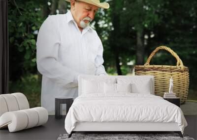 Harvest of onions. An elderly man farmer prepares vegetables for storage. Wall mural