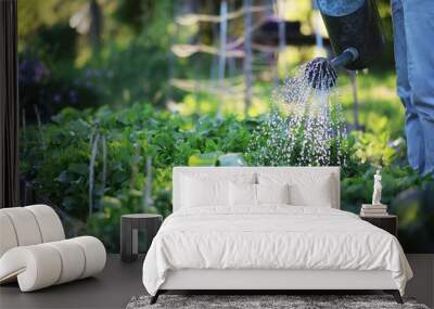 Man farmer watering a vegetable garden Wall mural