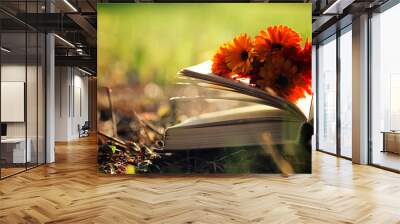 open book with flower on grass Wall mural