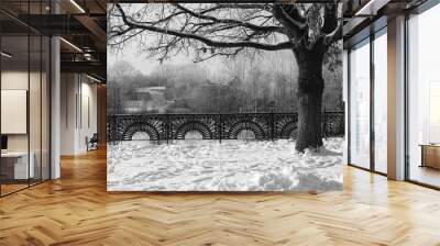 park in winter black and white Wall mural