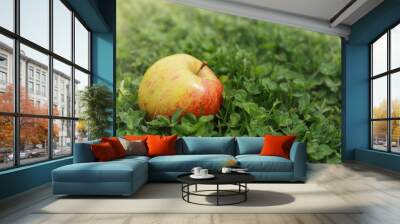 red apple on green grass Wall mural