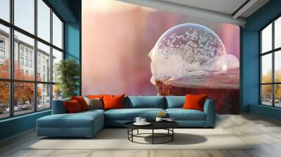 Soap bubbles freeze in the cold. Winter soapy water freezes in t Wall mural