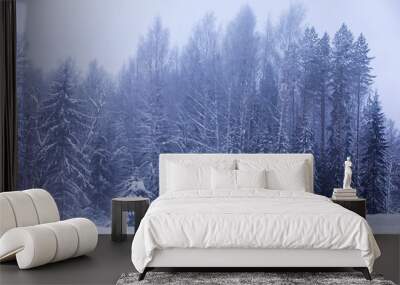 The forest is covered with snow. Frost and snowfall in the park. Winter snowy frosty landscape. Wall mural