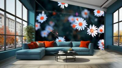 Wild flower. Little flowers on a green meadow. Wall mural