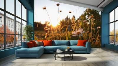 wildflowers at sunset Wall mural