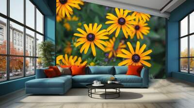 Bright yellow blooming rudbeckia close-up on a sunny summer day Wall mural