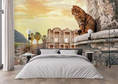 The cat sits near column in background of library of Celsus in Ephesus Wall mural