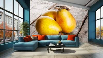 Three ripe juicy yellow pears Wall mural