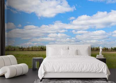 Spring landscape with field, forest and clouds in the sky Wall mural