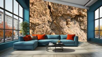 The texture of the cut of the earth with a high content of clay Wall mural