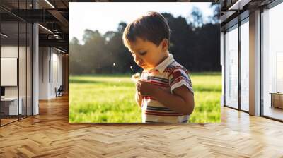 Beautiful cute boy in park blowing on dandelion in summer time at the sunset. Kid in the countryside bathing for sun light of dusk. Copy space. 16:9 format image Wall mural