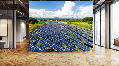 Solar Power Station in the green spring Nature,Solar panel Clean energy  thailand Wall mural