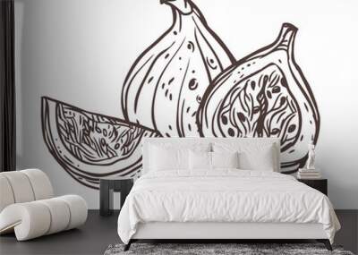 Group of figs. Vector sketch illustration. Doodle exotic fruits Wall mural