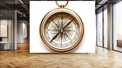 compass on white background Wall mural