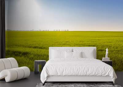 Green field on a sunny day. View of a green field in the summer Wall mural