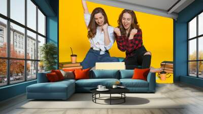 Modern technologies give opportunity to be online and work in any environment conditions. Two girls looking at laptop screen o yellow background. Freelance opportunity. Wall mural