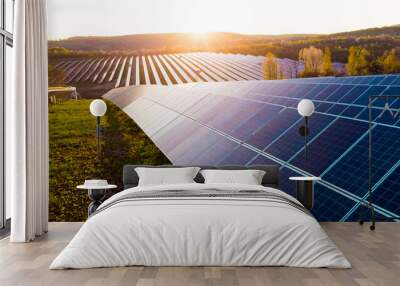 Solar panels (solar cell) in solar farm with sun lighting to create the clean electric power Wall mural