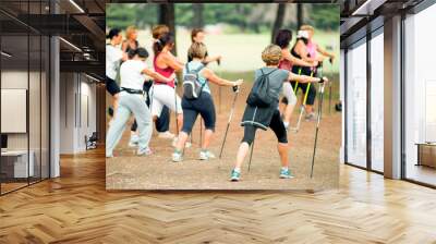 group of women making exercise before walking Wall mural