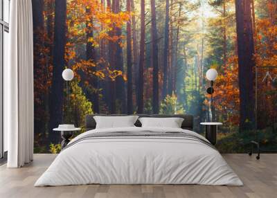 Autumn forest scene Wall mural