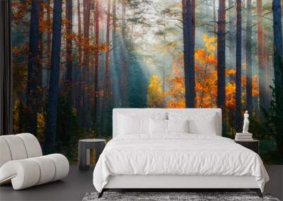 Autumn forest Wall mural