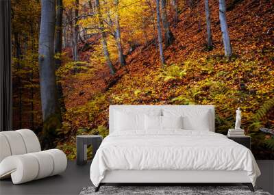 Autumn trees Wall mural