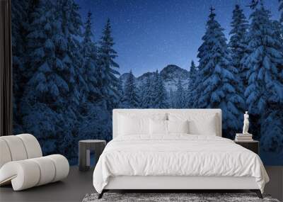 Clear christmas night in Italian Alps Wall mural