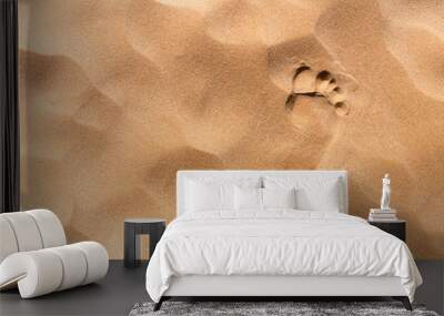 Footprint Wall mural