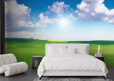 Green field under blue sky Wall mural