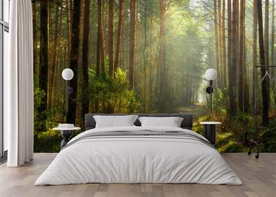 Spring forest Wall mural