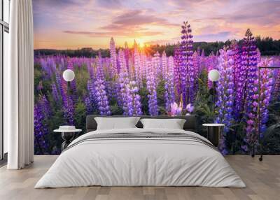 Summer landscape with violet flowers Wall mural