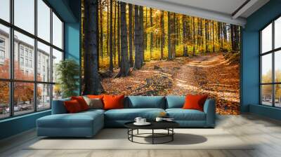 Sunlit autumn forest path with fallen leaves Wall mural