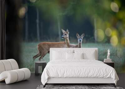 Two deer standing in grassy forest clearing Wall mural